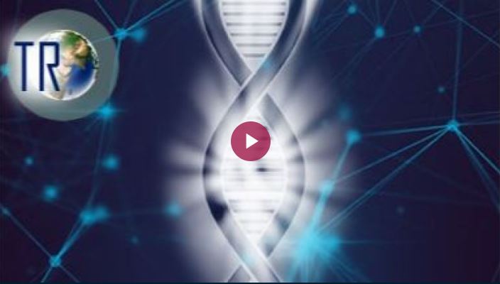TERRAFLASH N°26 (FEVRIER 2022) : ADN Dormant et Réactivation Cellulaire